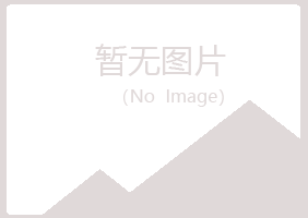 嵩县盼山会计有限公司